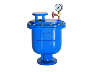 CARX����ʽ������