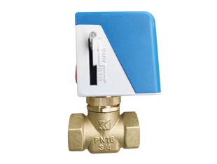 �綯��ͨ������ɭ�