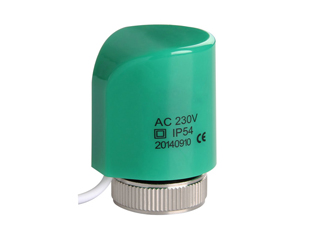 ����ִ����