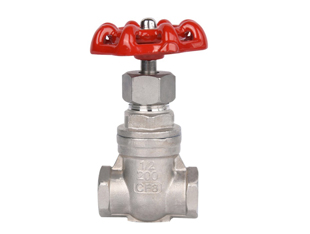 �����բ��