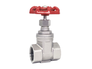 �����բ��